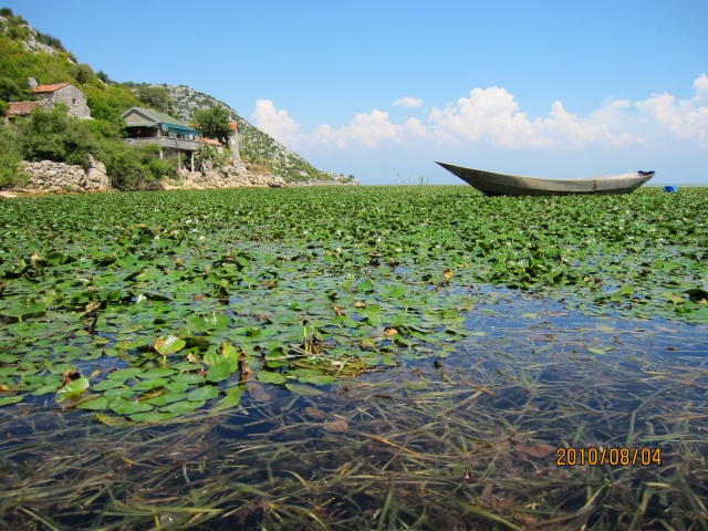 Скадарское озеро. Фото Лены Цагадиновой